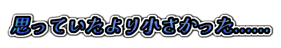 思っていたより小さかった……の装飾文字
